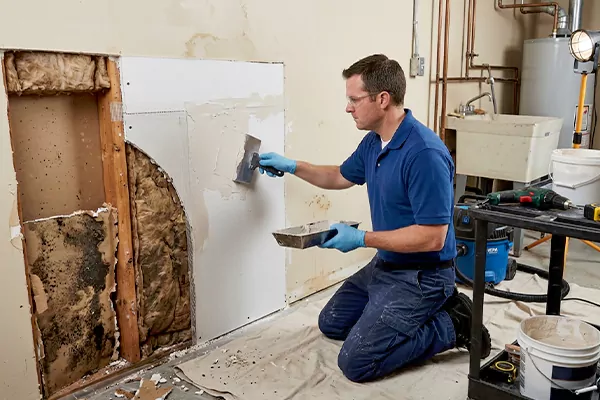 Mold and Drywall Repair Laguna Beach