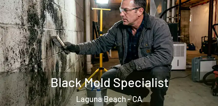 Black Mold Specialist Laguna Beach - CA