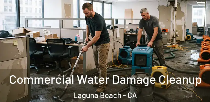 Commercial Water Damage Cleanup Laguna Beach - CA