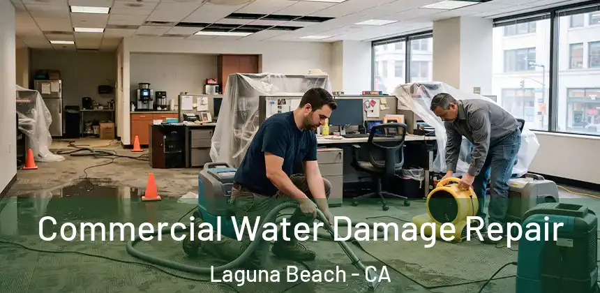  Commercial Water Damage Repair Laguna Beach - CA