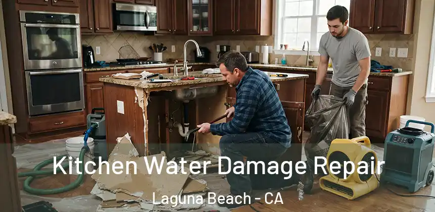  Kitchen Water Damage Repair Laguna Beach - CA