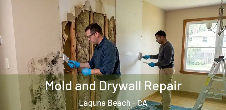 Mold and Drywall Repair Laguna Beach - CA