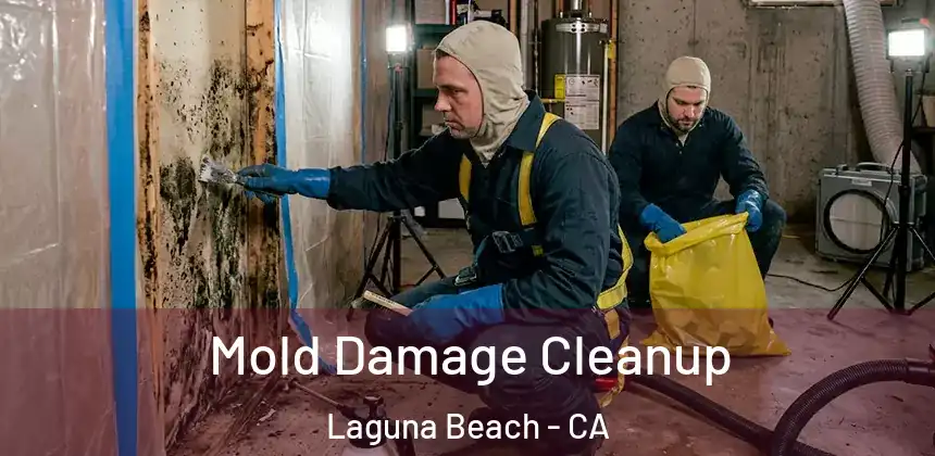 Mold Damage Cleanup Laguna Beach - CA