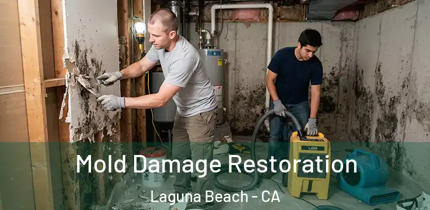 Mold Damage Restoration Laguna Beach - CA