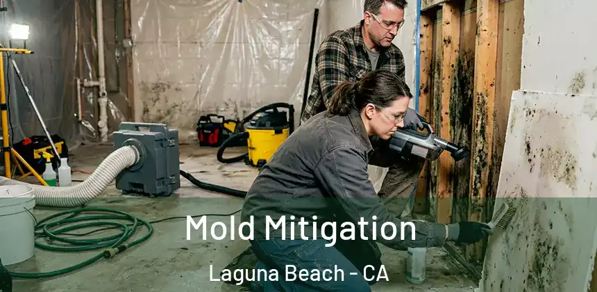 Mold Mitigation Laguna Beach - CA