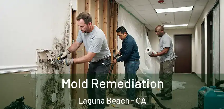 Mold Remediation Laguna Beach - CA