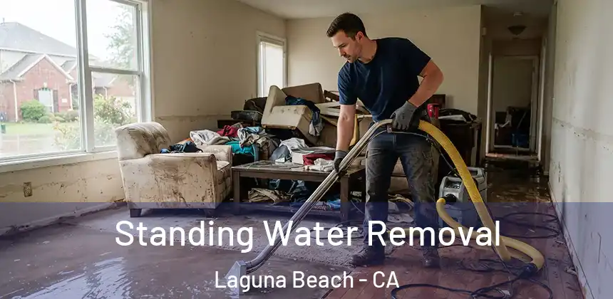 Standing Water Removal Laguna Beach - CA