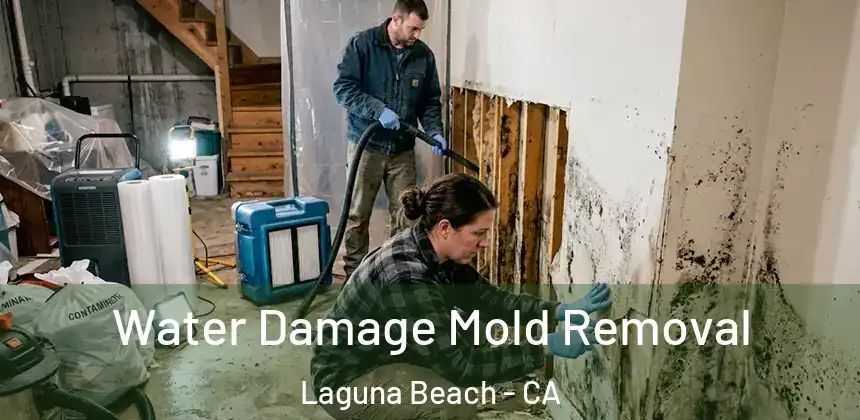  Water Damage Mold Removal Laguna Beach - CA