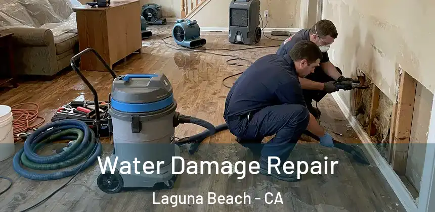  Water Damage Repair Laguna Beach - CA