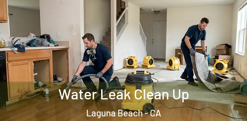  Water Leak Clean Up Laguna Beach - CA